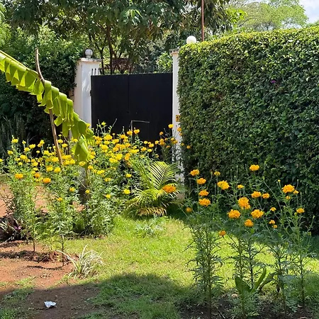 Karibu Africa Home Moshi Exterior photo