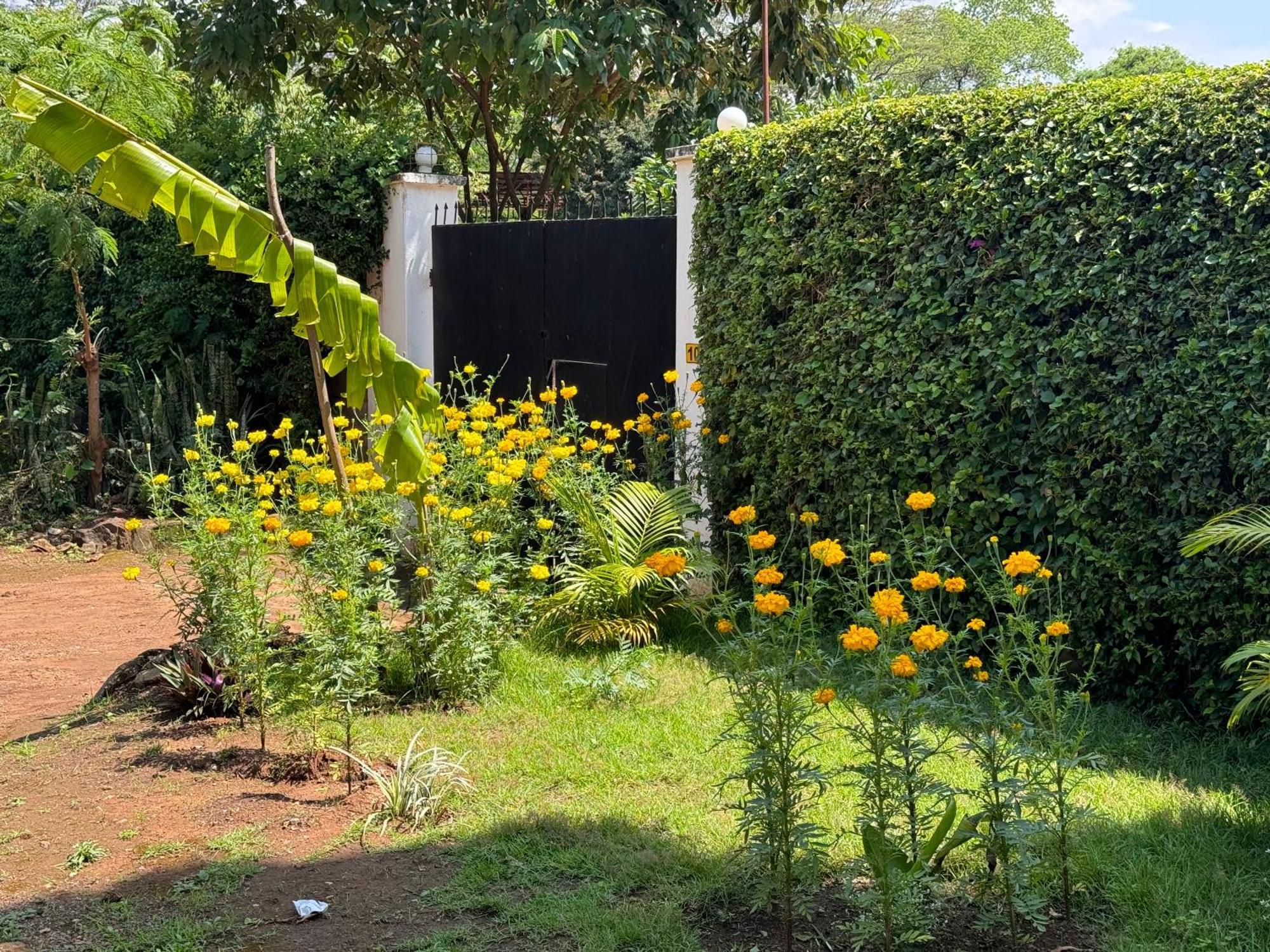 Homestay Karibu Africa